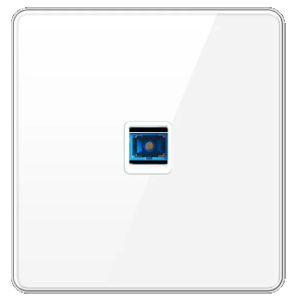 DATA SOCKET OUTLET FIBRE TEMPERED GLASS GLOSS WHITE