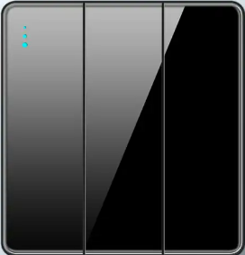 SWITCH 3G 2W TEMPERED GLASS GLOSS BLACK