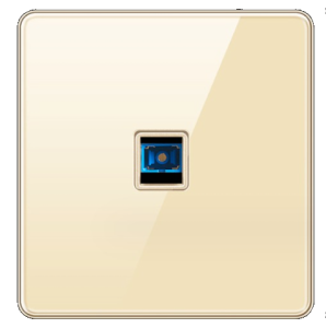 DATA SOCKET OUTLET FIBRE TEMPERED GLASS CHAMPAGNE GOLD