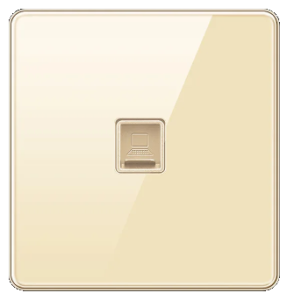DATA SOCKET OUTLET SINGLE CAT6 TEMPERED GLASS CHAMPAGNE GOLD