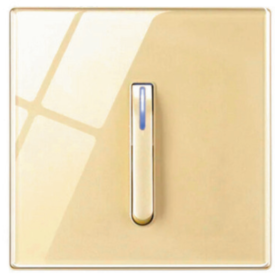 PIANO SWITCH 1G 2W CHAMPAGNE GOLD