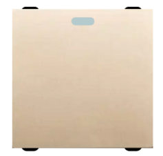 SWITCH 1G INTERMEDIATE CHAMPAGNE GOLD