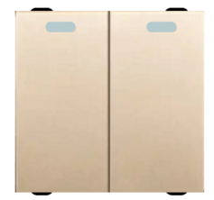 SWITCH 2G INTERMEDIATE CHAMPAGNE GOLD