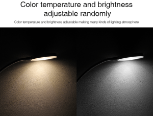 LED GU10 SPOTLIGHT 6W DUAL WHITE (2.4Ghz RF)