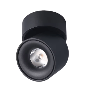 BRAGI