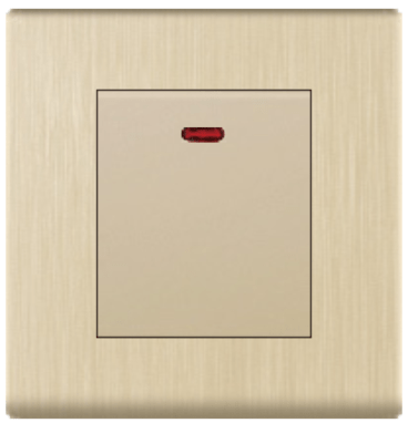 SWITCH DP 25A