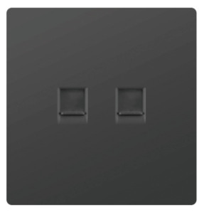 DATA SOCKET OUTLET DOUBLE CAT6 