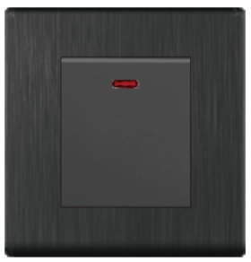 SWITCH DP 25A 