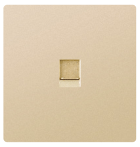 DATA SOCKET OUTLET SINGLE CAT6
