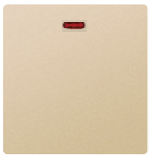 SWITCH DP 25A
