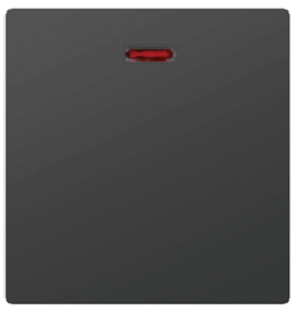 SWITCH DP 25A