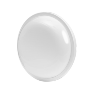 REMINI