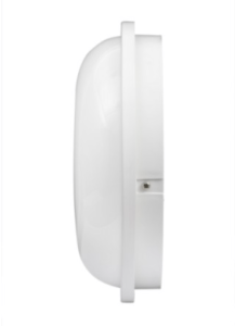 REMINI
