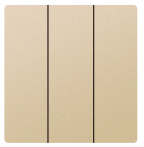 2GANG + INTERMEDIATE