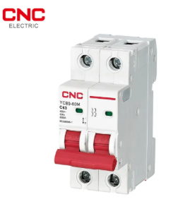 MCB 2P 10A 2M TYPE C
