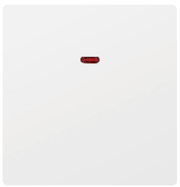 SWITCH DP 45A